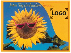 1001-3L