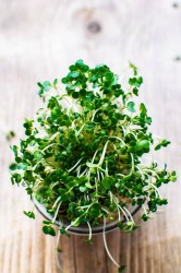 cress